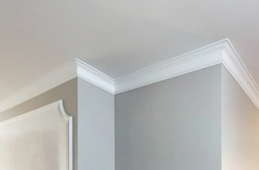 White crown molding on a smooth light gray interior wall corner